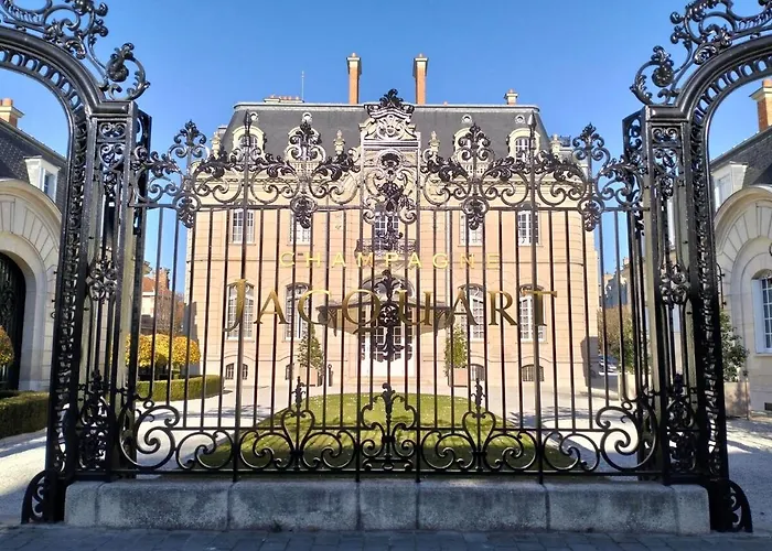 Reims'nest ריימס